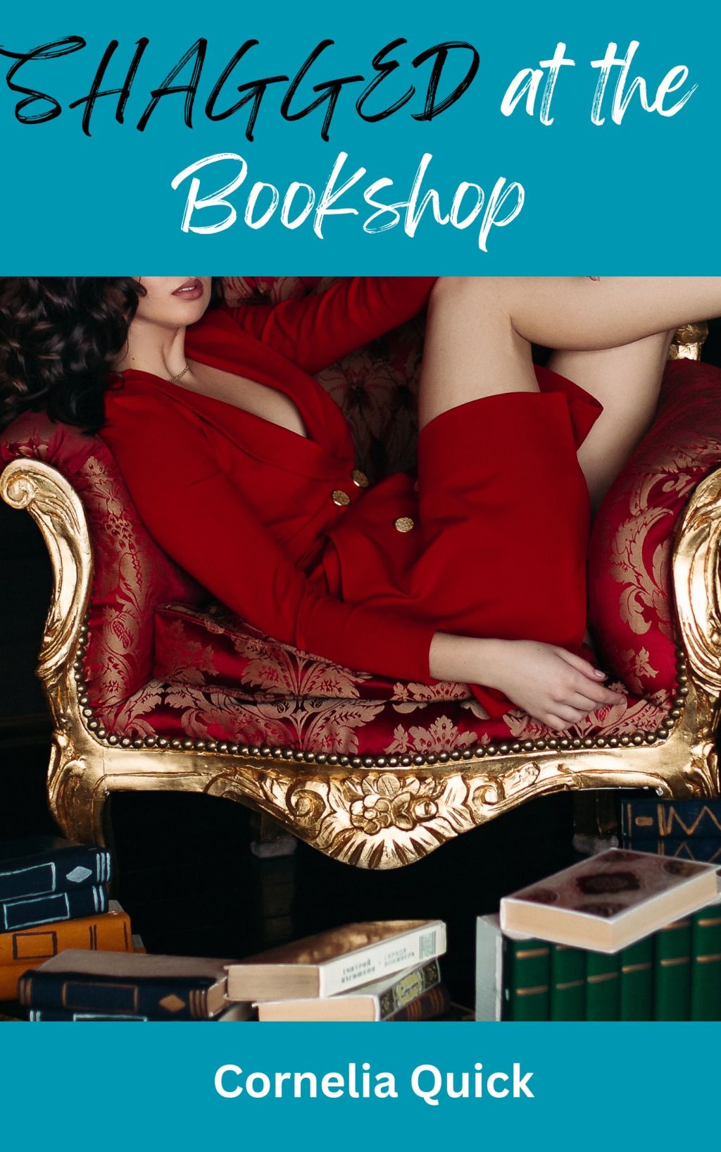 “Shagged in the Bookshop” available on&nbsp;Kindle